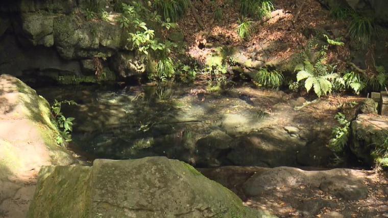 【静岡県富士宮市】「白糸ノ滝」周辺立ち寄りスポット 神秘的な池やグルメは滝からの贈り物