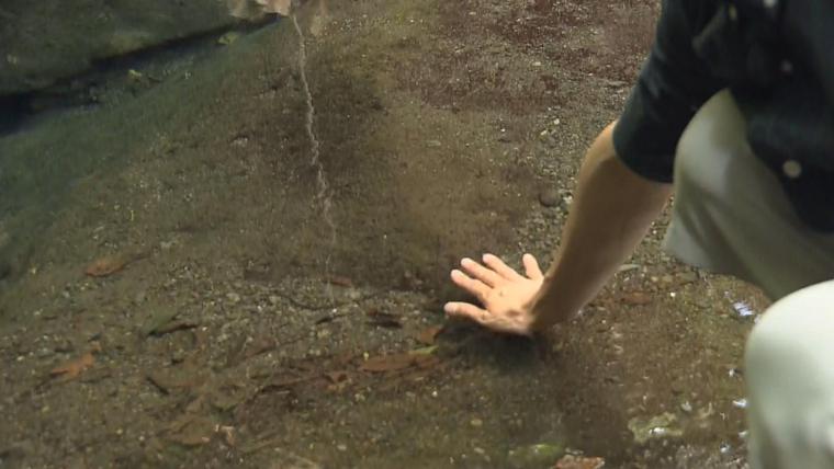 【静岡県富士宮市】「白糸ノ滝」周辺立ち寄りスポット 神秘的な池やグルメは滝からの贈り物