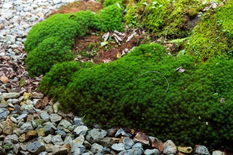 「那須別邸 回」土地が誇る歴史・美・食を堪能する極上の休日