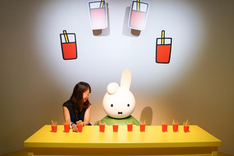 ハウステンボス ミッフィーのドリームストーリーブック