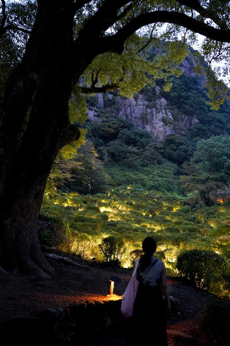 御船山楽園ホテル チームラボかみさまがすまう森