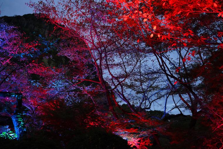 御船山楽園ホテル チームラボかみさまがすまう森
