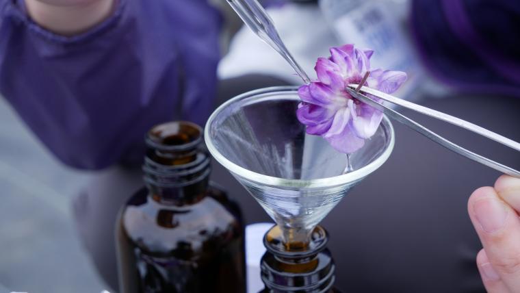 「光の花の庭」奇蹟の大藤・香気分析