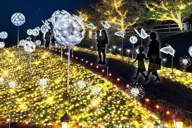 「HIKARIUM2025」タンポポの丘