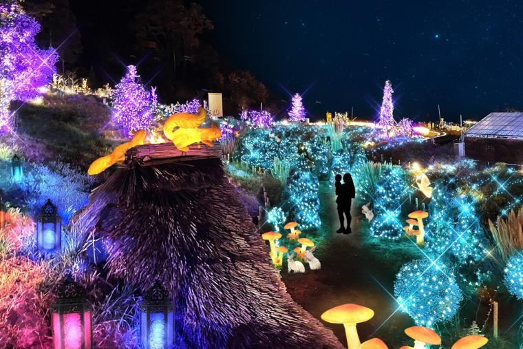 「HIKARIUM2025」フェアリーガーデン