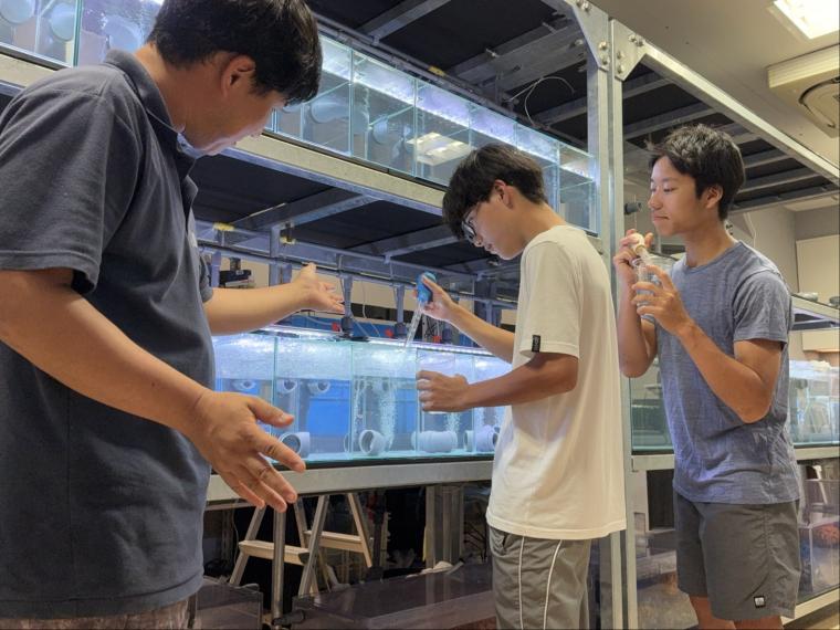 「KAIKENのチイサナ水族館」餌あげ体験