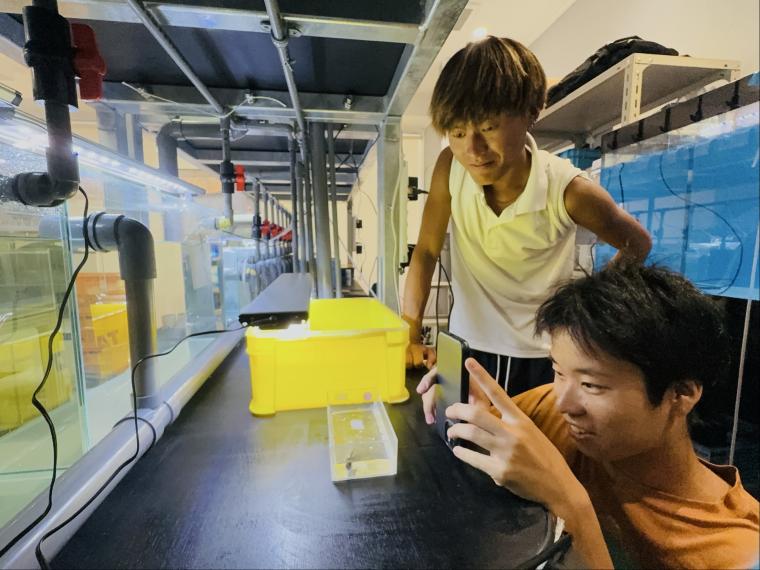 「KAIKENのチイサナ水族館」バックヤードツアー