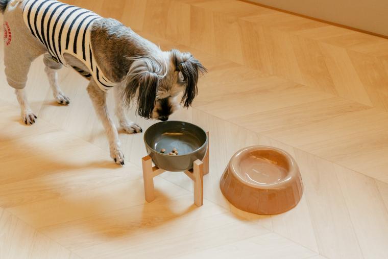 「わんファミリー留狗留」萩焼ボウル