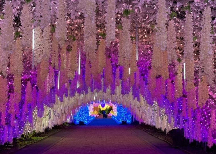 「ひかりのすみか」光のトンネル・魅惑の洞窟