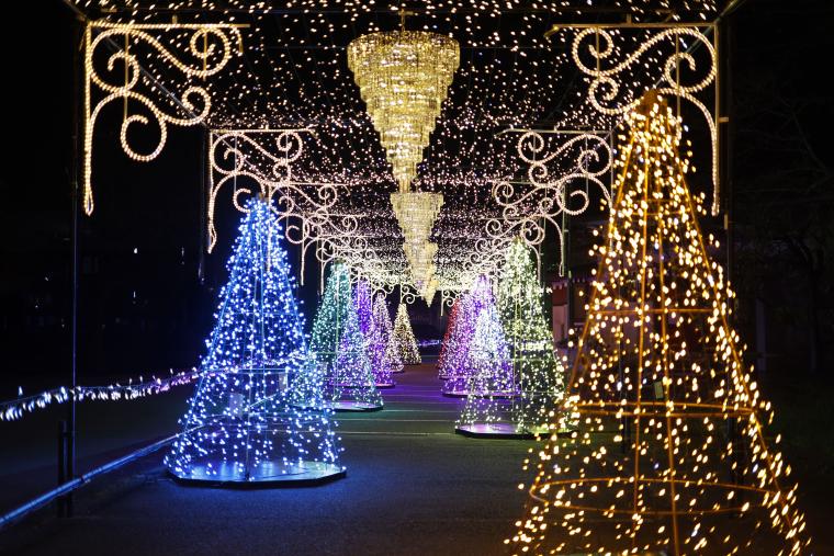 「ひかりのすみか」王宮の回廊