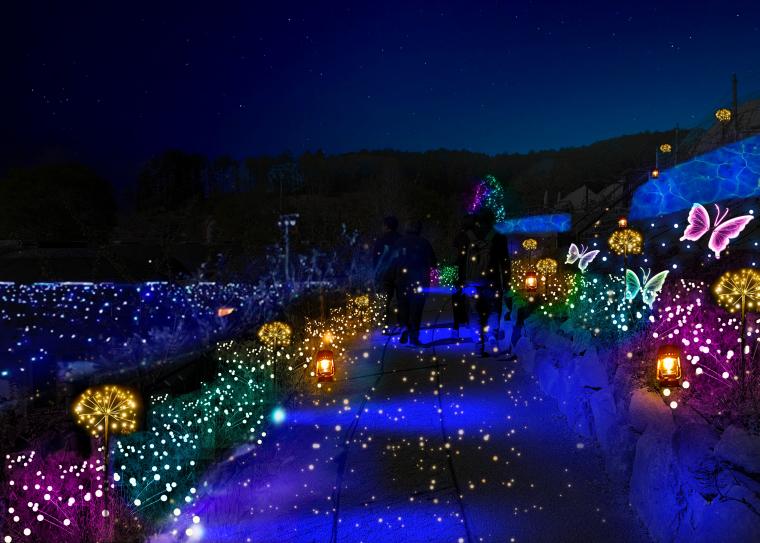 「ひかりのすみか」ヒカリの散歩道