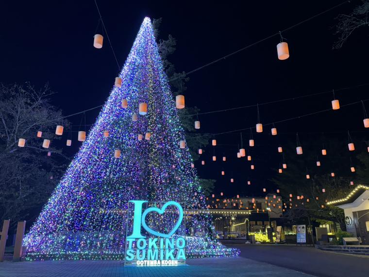 「ひかりのすみか」シンボルツリー