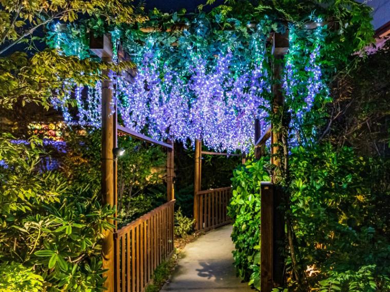 「空庭温泉 OSAKA BAY TOWER」イルミネーション2025