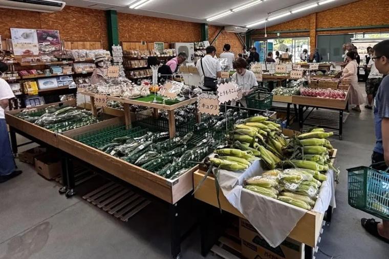 大阪・富田林の観光農園「サバーファーム」がリニューアル！ ぶどう狩りとローカルグルメが一度に楽しめる！