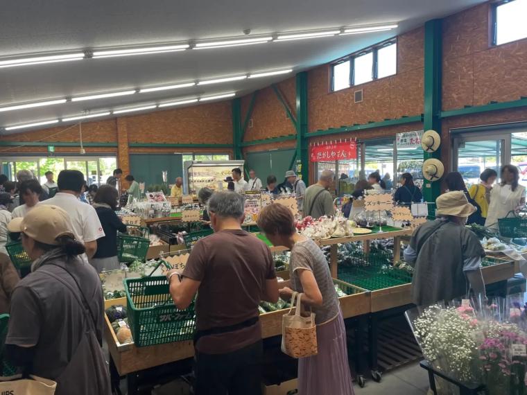 大阪・富田林の観光農園「サバーファーム」がリニューアル！ ぶどう狩りとローカルグルメが一度に楽しめる！