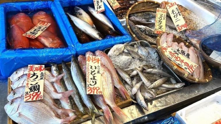 【札幌】1500円以下で！？ネタがはみでた豪華海鮮丼がコスパ最強すぎる！お寿司食べ放題も堪能