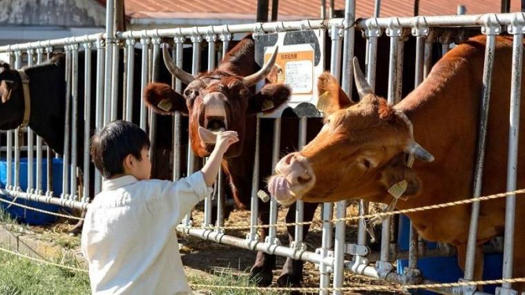 「これぞ北海道！」動物×絶景の癒しスポット！獣医師ママライター興奮の子どもに体験させたい貴重なメニューも