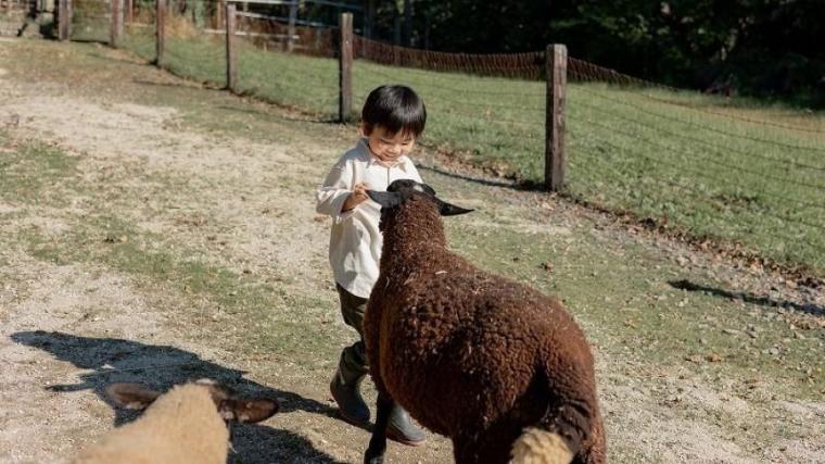 「これぞ北海道！」動物×絶景の癒しスポット！獣医師ママライター興奮の子どもに体験させたい貴重なメニューも