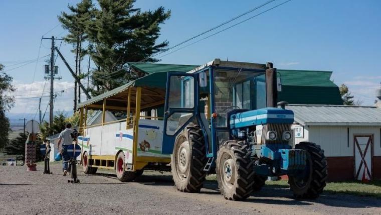 「これぞ北海道！」動物×絶景の癒しスポット！獣医師ママライター興奮の子どもに体験させたい貴重なメニューも