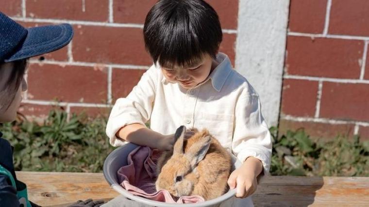 「これぞ北海道！」動物×絶景の癒しスポット！獣医師ママライター興奮の子どもに体験させたい貴重なメニューも