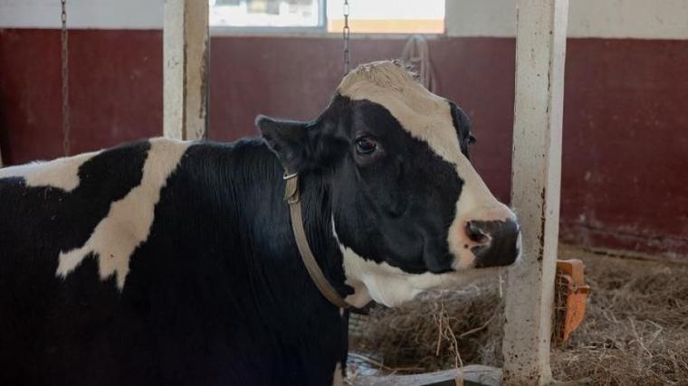 「これぞ北海道！」動物×絶景の癒しスポット！獣医師ママライター興奮の子どもに体験させたい貴重なメニューも