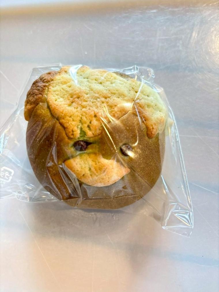 【島根】朝ドラ・ばけばけの舞台で発見！小泉八雲にちなんだ可愛くて深い「怪談パン」とは？