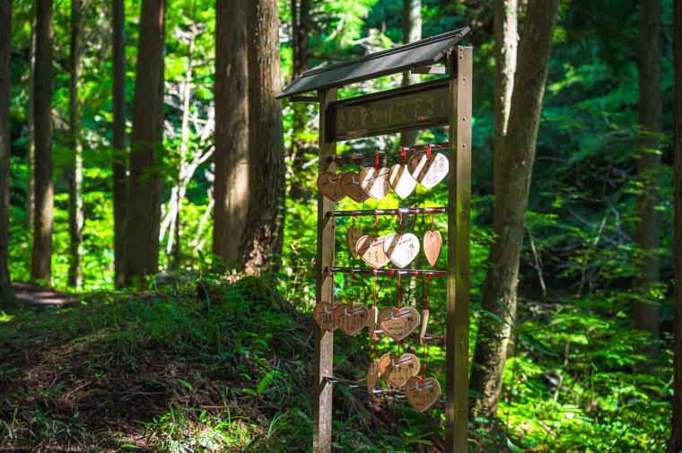 木漏れ日のなかにある、良縁祈願のパワースポット！神様の結婚式場となった聖なる滝｜鳥取県日南町