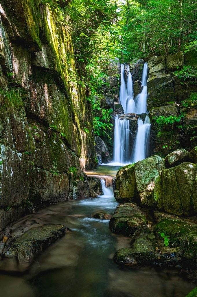 木漏れ日のなかにある、良縁祈願のパワースポット！神様の結婚式場となった聖なる滝｜鳥取県日南町