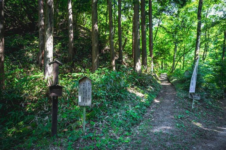 木漏れ日のなかにある、良縁祈願のパワースポット！神様の結婚式場となった聖なる滝｜鳥取県日南町