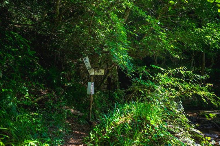 木漏れ日のなかにある、良縁祈願のパワースポット！神様の結婚式場となった聖なる滝｜鳥取県日南町