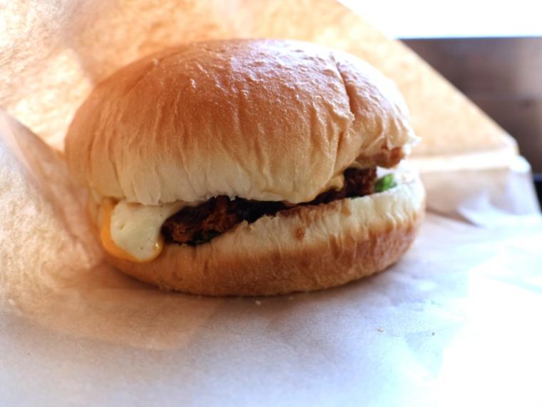 【静岡県下田市・下田海中水族館】驚くほど海にもイルカにも近い水族館 とことん楽しみ方を伝授！