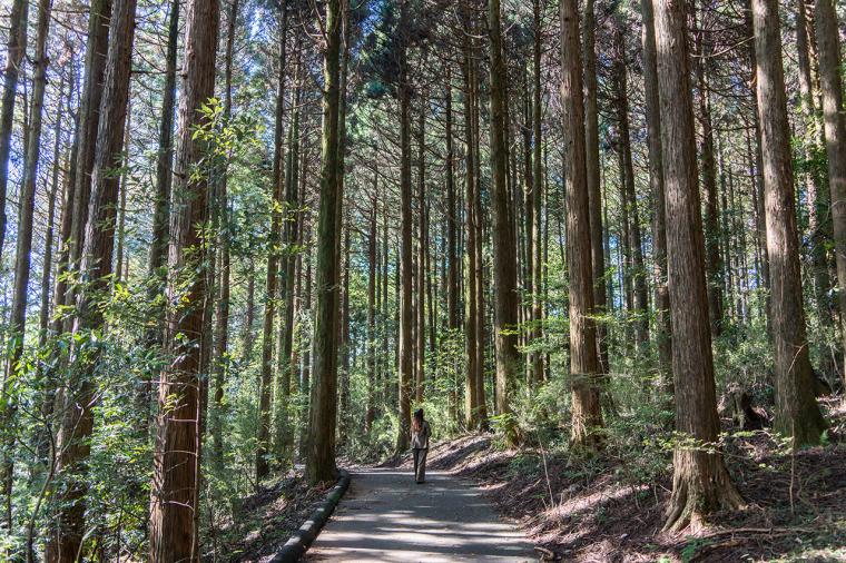 和心亭 豊月(周辺散策)