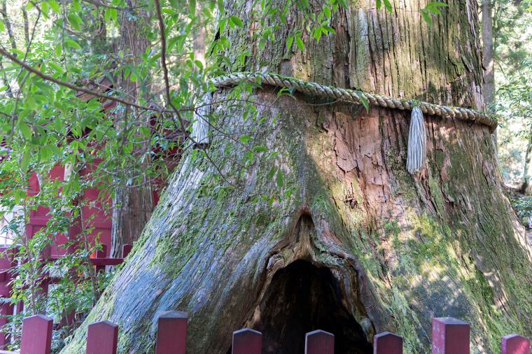 和心亭 豊月(周辺散策)