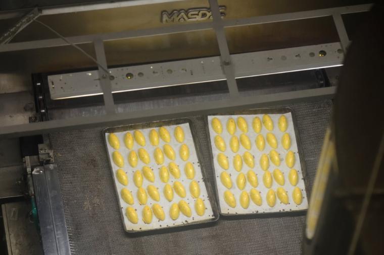 さつまいも天国・茨城へ！味わう・体験・願う!?おいも尽くしの一日ドライブモデルコース