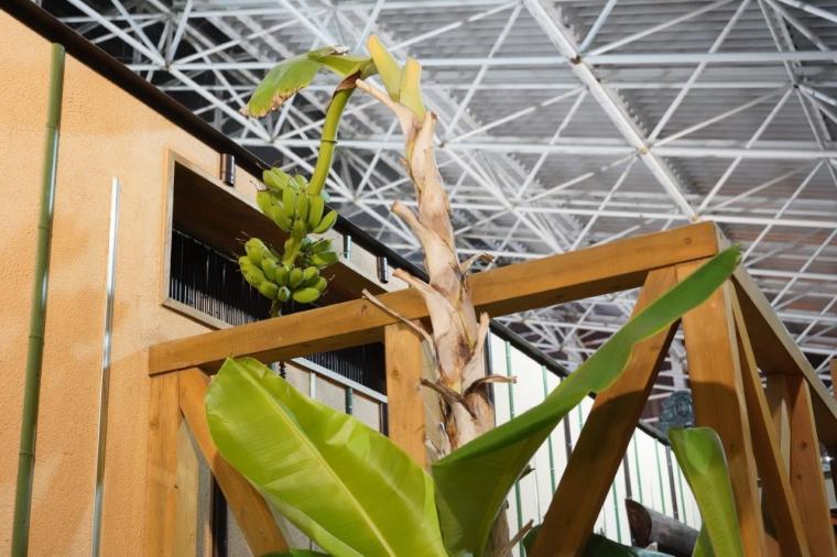 硫黄谷庭園温泉