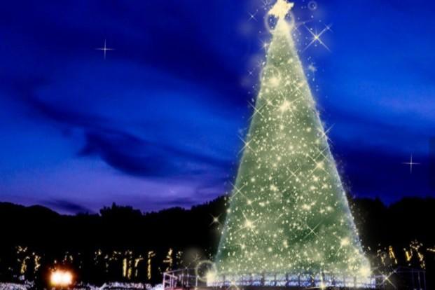 「マツケンイルミナイト」ゴールドツリー