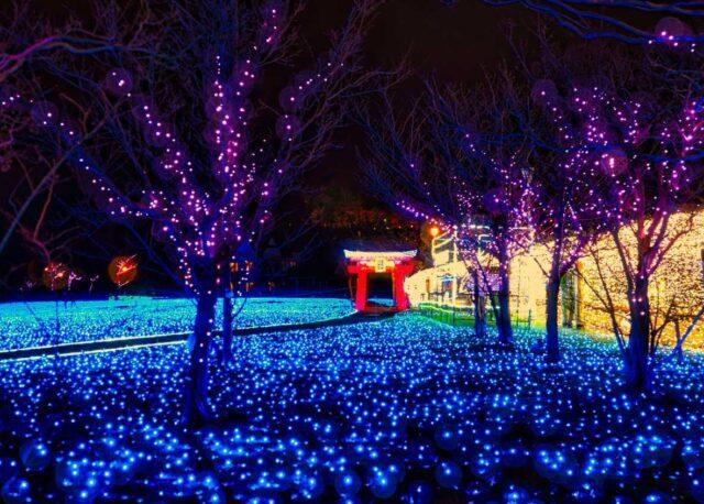 北陸のイルミネーション＆ライトアップ 2025-2026年版