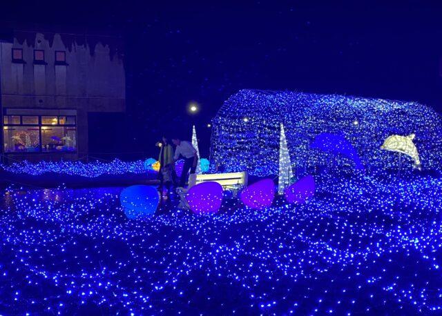 北陸のイルミネーション＆ライトアップ 2025-2026年版