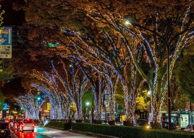 北陸のイルミネーション＆ライトアップ 2025-2026年版