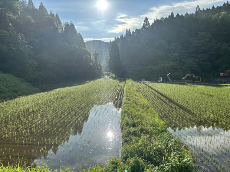 【富山】棚田の米農家が直営! 炊きたて・握りたての極ウマおにぎり「NOROSHI FARM おにぎーり」