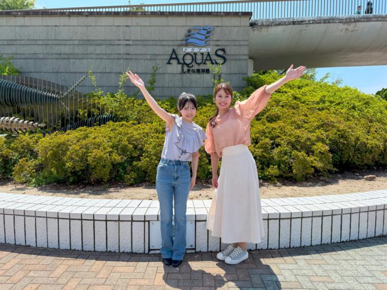 西日本で唯一シロイルカがいる島根県浜田市水族館で「幸せのバブルリング」を見てきた！