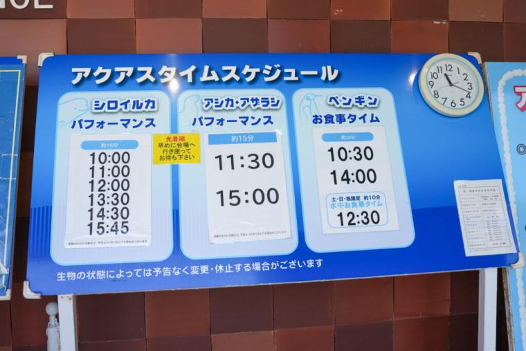 西日本で唯一シロイルカがいる島根県浜田市水族館で「幸せのバブルリング」を見てきた！