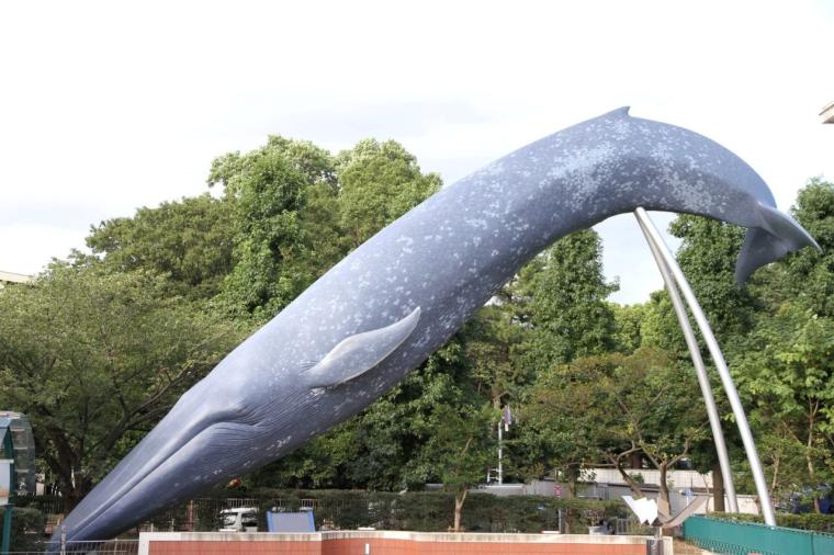 国立科学博物館