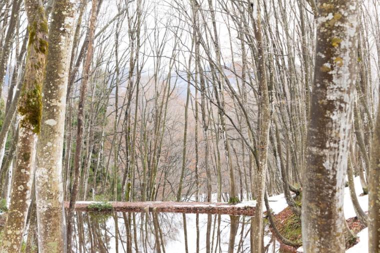 滑るだけじゃない！アフタースキーも満喫♪新潟・越後湯沢周辺ドライブモデルコース