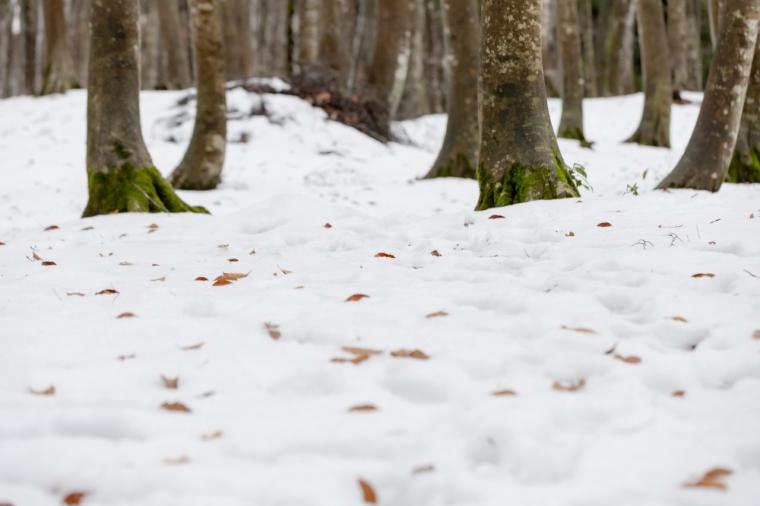 滑るだけじゃない！アフタースキーも満喫♪新潟・越後湯沢周辺ドライブモデルコース