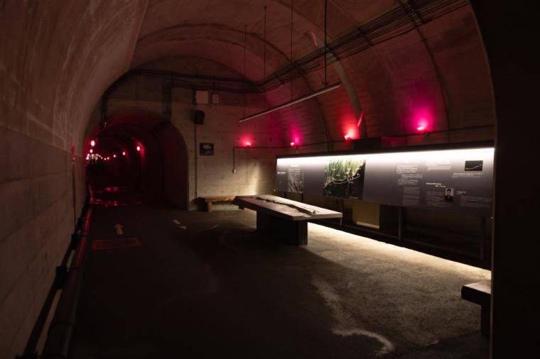 滑るだけじゃない！アフタースキーも満喫♪新潟・越後湯沢周辺ドライブモデルコース