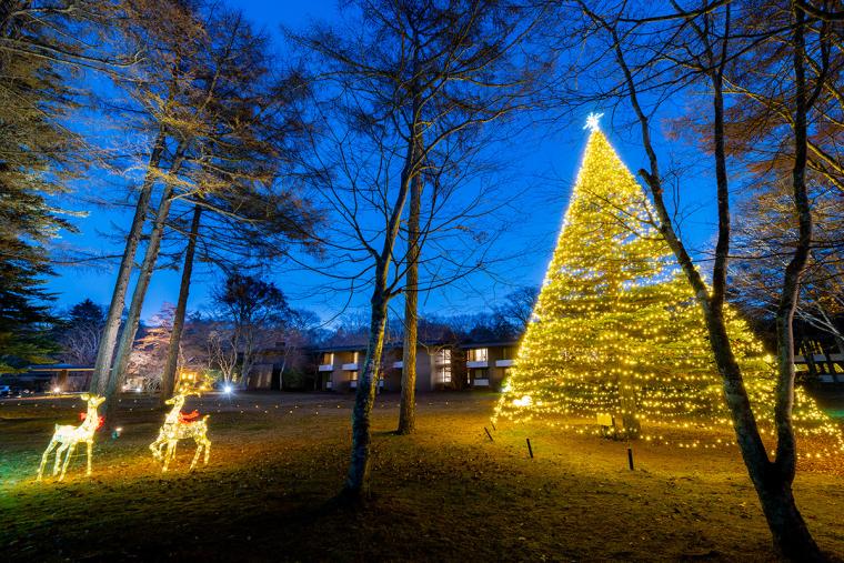 軽井沢「ホテル鹿島ノ森」クリスマスツリー