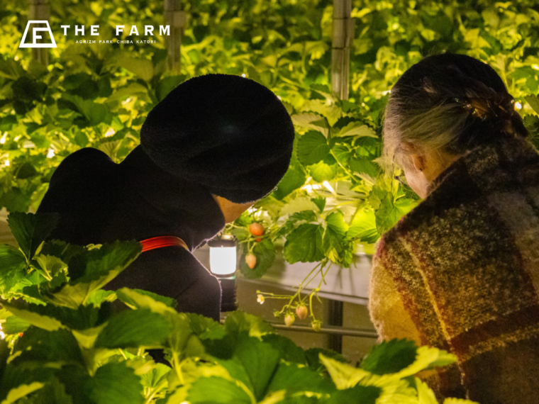 「THE FARM 星空いちご園」イメージ