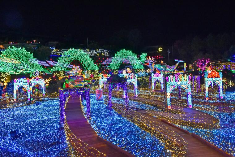 伊豆高原グランイルミ 2025-2026年