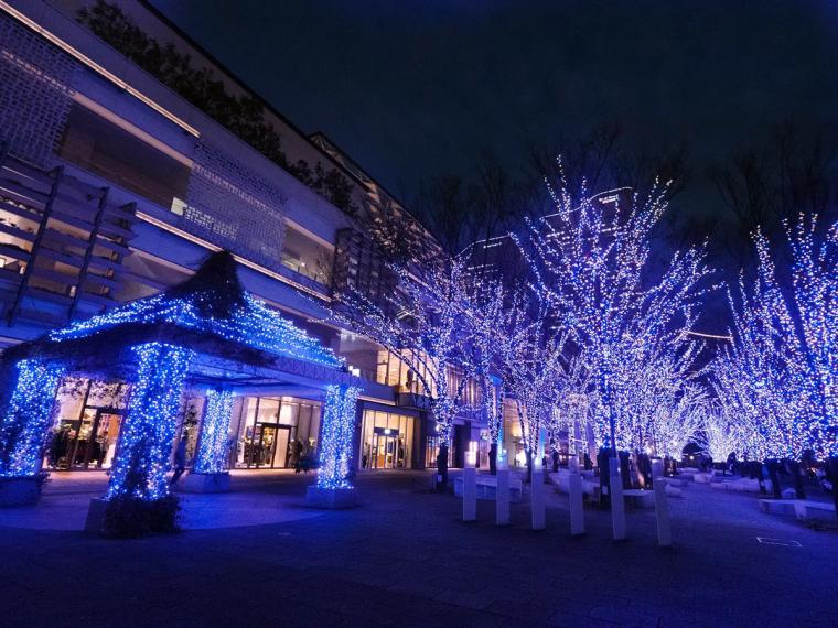 横浜イルミネーション2025